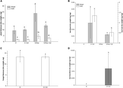 Modulation of Plant and Fungal Gene Expression Upon Cd Exposure and Symbiosis in Ericoid Mycorrhizal <mark class="highlighted">Vaccinium myrtillus</mark>